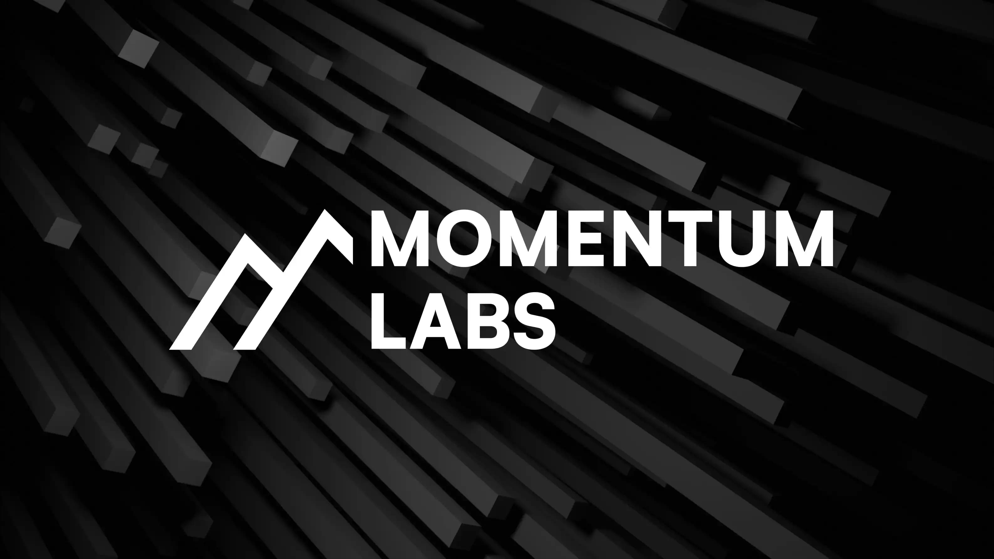 Momentum Labs mockup on top of rectangular 3D shapes